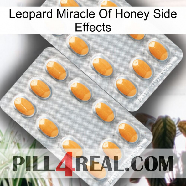 Leopard Miracle Of Honey Side Effects cialis4.jpg